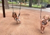 swings